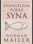 Evangelium podle syna - náhled