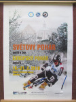 Světový pohár mužů a žen / Evropský pohár juniorů 2010 - náhled