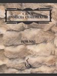 Petr Nikl: Cena Jindřicha Chalupeckého - náhled