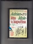 Adrian Mole - léta u kapučína - náhled