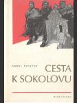 Cesta k Sokolovu - náhled