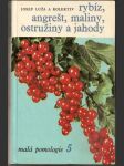 Rybíz, angrešt, maliny, ostružiny  a  jahody -  malá  pomologie  5 - náhled