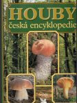 Houby - náhled