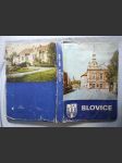 Blovice 1284-1984 : 700 let města - náhled