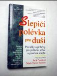 Slepičí polévka pro duši - náhled