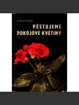 Pěstujeme pokojové květiny (edice: Knižnice místního hospodářství, sv. III/151) [příroda, příručka, květiny, dům a byt] - náhled