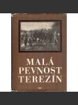 Malá pevnost Terezín (historie, druhá světová válka, holokaust) - náhled