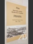 Plán hlavního města Království českého Praha - náhled