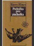 Poštolka pro pacholka - náhled