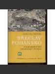 Břeclav - Pohansko IV. Velkomoravský velmožský dvorec (archeologie) - náhled