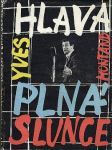 Hlava plná slunce - náhled