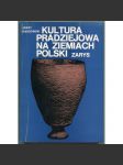 Kultura pradziejowa na ziemiach Polski. Zarys [Pravěká kultura v zemích Polska; Polsko, archeologie] - náhled