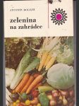 Zelenina  na  zahrádce - náhled