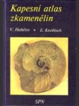 Kapesní atlas zkamenelin - náhled