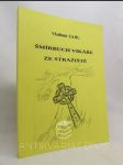 Šmírbuch vikáře ze Stražiště - náhled