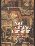 Mezi kulturou a uměním: Věnováno Zdeňku Hojdovi k životnímu jubileu - náhled