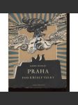 Praha pod křídly války (6x grafika Josef Liesler - litografie) - náhled