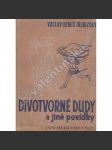 Divotvorné dudy a jiné pohádky - náhled