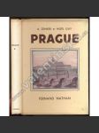 Prague. Illustrations en coleurs de Zenker - náhled