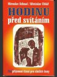 Hodinu před svítáním - náhled