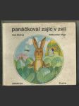 Panáčkoval zajíc v zelí - náhled