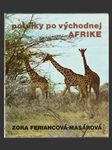 Potulky po východnej Afrike - náhled