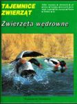 Zwierzeta wedrowne - náhled