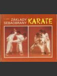 Základy sebaobrany Karate - náhled