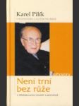 Není trní bez ruže - náhled