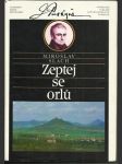 Zeptej se orlů - náhled