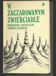 W zaczarowanym zwierciadle - náhled