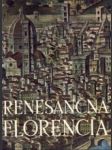 Renesančná Florencia - náhled