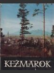 Kežmarok.700 rokov od udelenia mestských privilégií - náhled