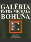 Galéria Petra Michala Bohúňa - náhled