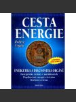 Cesta energie - náhled