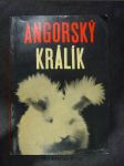 Angorský králík - náhled