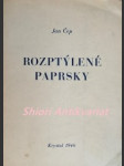 Rozptýlené paprsky - essaye,proslovy a meditace - čep jan - náhled