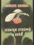 Sbírejte semena lesních stromů a keřů - náhled