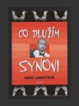 Co dlužím synovi - náhled