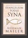 Evangelium podle syna - náhled