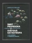 Smrt profesora je světová katastrofa a jiné příběhy s neblahým koncem - náhled