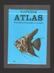 Kapesní atlas ryb, obojživelníků a plazů - náhled