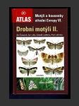 Drobní motýli II. - Motýli a housenky střední Evropy VI. - náhled