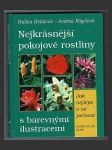 Nejkrásnější pokojové rostliny - náhled