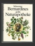 Schwester Bernardines große Naturapotheke - náhled