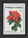 Pokojové rostliny - náhled