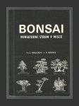 Bonsai - náhled