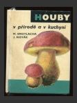 Houby v přírodě a v kuchyni - náhled