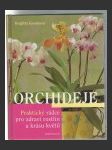 Orchideje - náhled