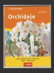 Orchideje - náhled